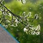 Pollen Guard Screening for Air Filtration – Pollen Window Screen Mesh Roll 36-in x 50-ft – Pollen and Dust Filtration, Anti-Allergy Window Screen Replacement