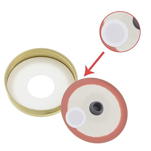 Zonon 64 Pieces Synthetic Filter Paper Stickers 20 mm 0.3 ?m Synthetic Filter Disc Tape Mushroom Applied Under Wide Mouth Mason Jar for Mushroom Cultivation