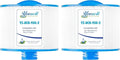8CH-950 Spa Filter Cartridge Replaces for 10-2785 Spa Filter, PBF35, PBF50-F2S, FC-0536, XLS-834, 15052, AK-90311, 50 sq.ft SAE Thread Bull Frog Spa Filter (2pc)