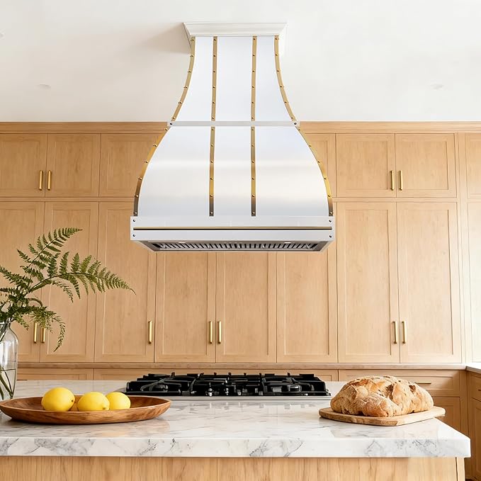 CHETTO C Stainless Steel Range Hood Cover with 4-Speed Vent Hood Insert Custom Handcrafted Metal Kitchen Fan with Towel Rack LED Light 30"W x27"D x30"H White Island Mount