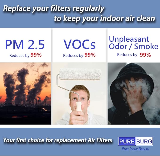 PUREBURG Replacement Filter Compatible with Rabbitair BioGS BioGP SPA-421A SPA-582A Air Purifiers, H13 HEPA Air Clean dust PM2.5 Odor smoke VOCs
