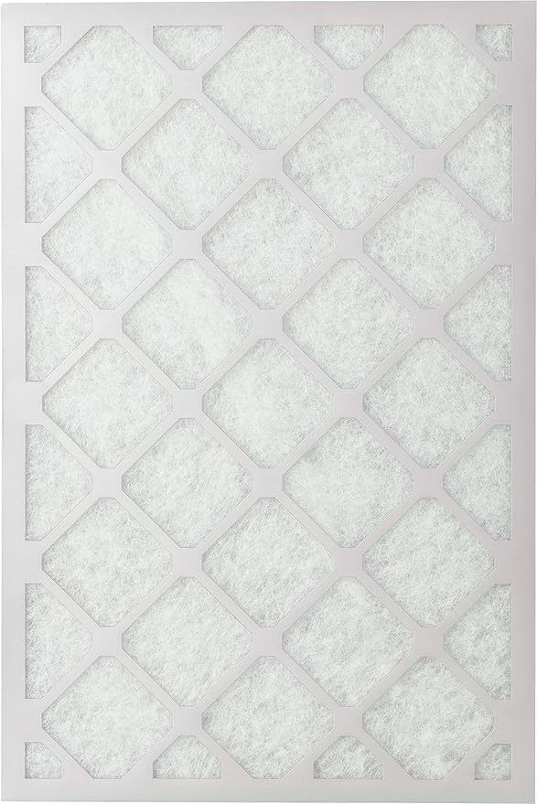 Nordic Pure 20x20x1 (Actual Size: 19 1/2 x 19 1/2 x 3/4) Poly Green MERV 6 AC Furnace Air Filters – Reduces Dust, Pollen, Pet Dander & Allergens – 2-Pack